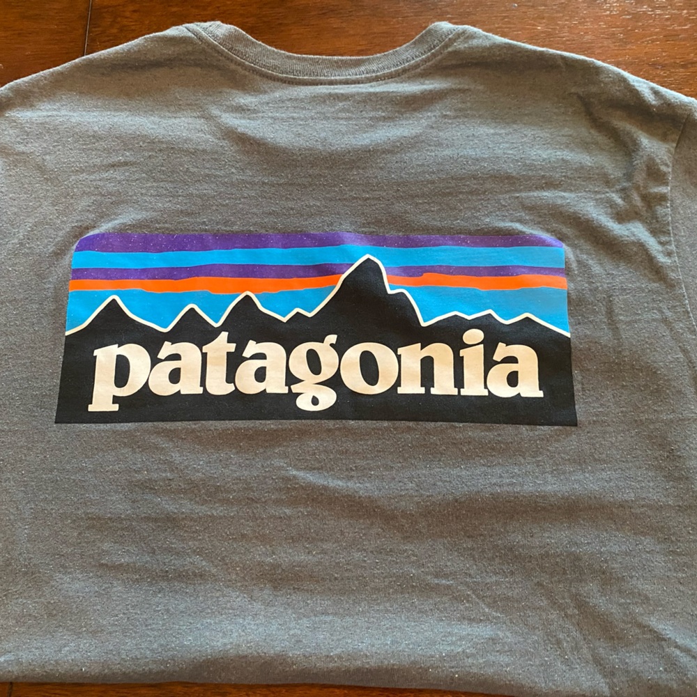 Men’s Medium Patagonia gray tshirt. LIKE NEW condition.